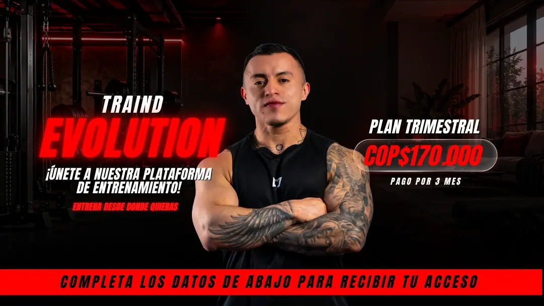 Traind Evolution Trimestral